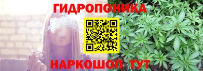 прущие крисы Кингисепп