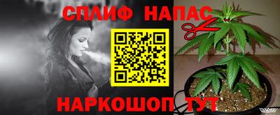 прущие крисы Кингисепп