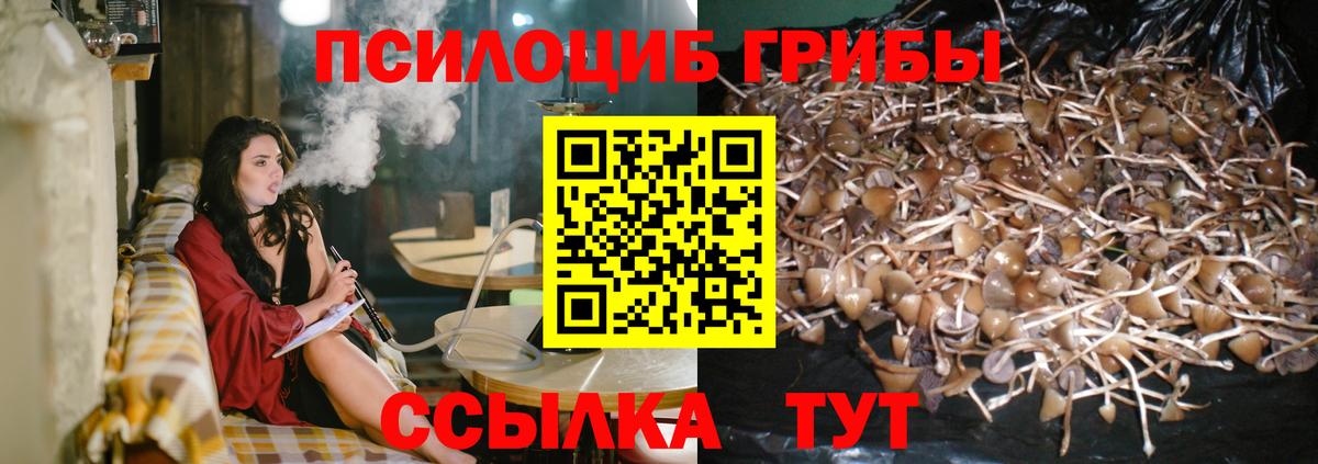 Галлюциногенные грибы прущие грибы Кисловодск