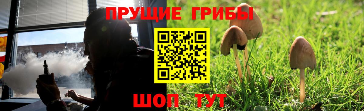 Псилоцибиновые грибы Cubensis  Вход с VPN  купить  цена  Кисловодск 